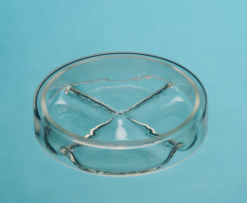 Four Partition Petri Dish - Click Image to Close